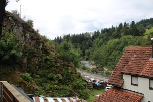 Elle offre une vue sur la montagne, la rivière et les maisons. dans l'établissement Ferienhaus Rauhfelsen, à Baiersbronn