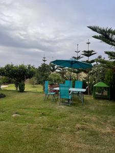 Jardín al aire libre en Nature's Private Paradise Villa