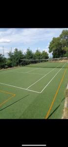 ŞinteuにあるCasa Valea Tarneiの緑の芝生とネット付きのテニスコート