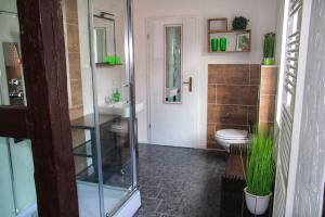 uma casa de banho com uma cabina de duche em vidro e um WC. em Brockensicht em Ilsenburg