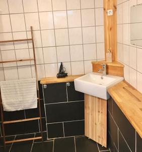 a small bathroom with a sink and a shower at Hvidegaard Møn in Stege