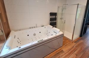 a bathroom with a bath tub and a shower at 2 pièces, SPA et terrasse, Nancy Thermal in Nancy +4 photos