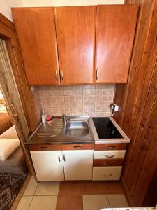 una pequeña cocina con fregadero y armarios de madera. en Privát Lenka en Prosiek