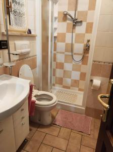 ein Bad mit einer Dusche, einem WC und einem Waschbecken in der Unterkunft Montemartano in Spoleto