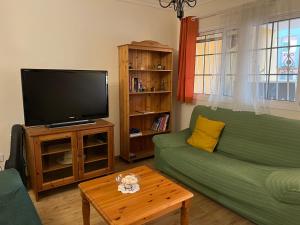 a living room with a green couch and a flat screen tv at Encanto Natural de Arinaga in Arinaga