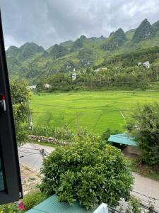 uitzicht op een groen veld met bergen op de achtergrond bij Hoàng Bách homestay in Dồng Văn