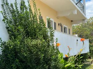 a house with a bush in front of a building at FULL HOUSE KAVOS in Kavos