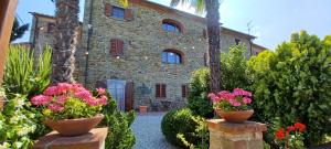 チヴィテッラ・イン・ヴァル・ディ・キアーナにあるCasa del Tramontoの花の前の石造りの家