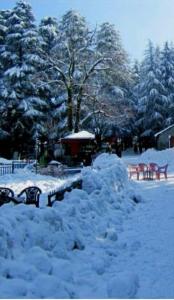 un tas de neige près des bancs dans un parc dans l'établissement Murree Oaks Tulip Block, à Murree