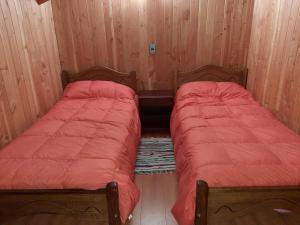 two beds in a room with wood paneling at Cancel in Pucón