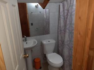 a small bathroom with a toilet and a sink at Cancel in Pucón