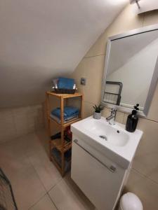 uma casa de banho com um lavatório e um espelho em Grand Studio, Parking privé, Cuisine séparée em Cannes