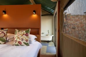 Foto dalla galleria di Elephants Crossing a Riserva Naturale di Welgevonden