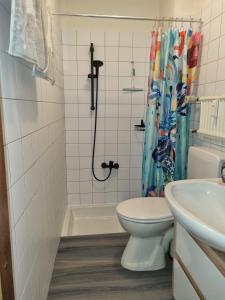a bathroom with a toilet and a shower curtain at Harzilein in Braunlage