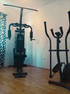 a gym with two exercise bikes in a room at Apartman MR in Potpićan