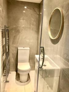 a bathroom with a toilet and a mirror and a sink at The Gardener's Annex in Hatfield Heath