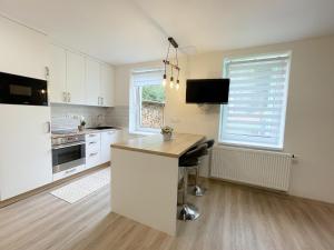 Kuchyň nebo kuchyňský kout v ubytování Apartmán U Náměstí + 4 fotografie
