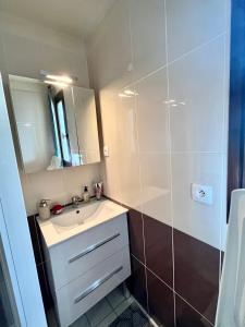 uma casa de banho com um lavatório e um chuveiro em Le SAPET em Ancelle