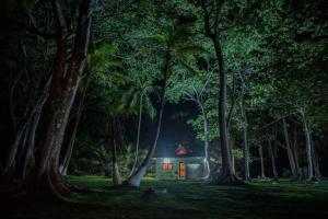 una casa en medio de un bosque por la noche en Puntita Manzanillo, fantastic sea and jungle retreat, en La Guayra