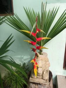 una flor en un jarrón de piedra con una planta en Puntita Manzanillo, fantastic sea and jungle retreat en La Guayra