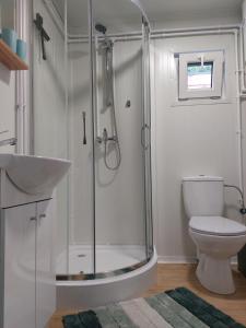 een badkamer met een douche, een wastafel en een toilet bij B&B Vierlingsbeek, Appartement Onder één dak en tuin-chalet in Vierlingsbeek