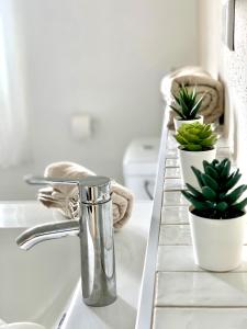 a bathroom sink with a faucet and two potted plants at Top modernes Appartement mit Blick ins Grüne in Kißlegg