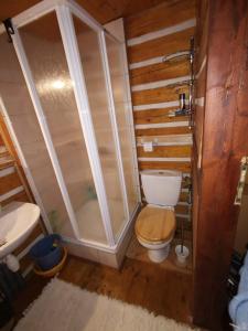 een badkamer met een toilet en een douche bij Domek na Polance in Rajcza