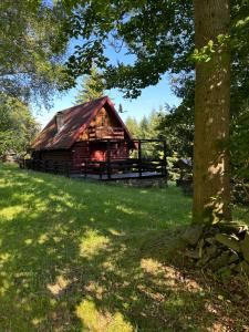 una cabaña de madera en un campo con un árbol en Domek na Polance en Rajcza