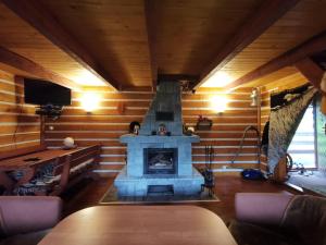 a living room with a fireplace in a log cabin at Domek na Polance in Rajcza