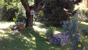 Giardino di B&B I Pioppi