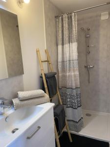 a bathroom with a sink and a shower with a ladder at logement in Angliers