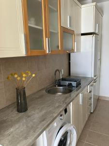 O bucătărie sau chicinetă la Flat Ruby
