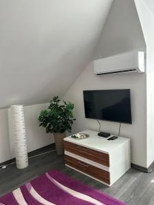 uma sala de estar com uma televisão e uma mesa em Wolfenbüttler Apartment em Volfembutel