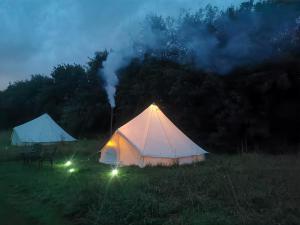 two white tents in a field at night at Lainey's Rest in Wisbech
