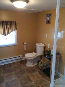 a bathroom with a toilet and a window at Dorman's Manor in Bonavista