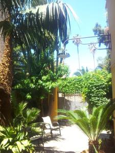 a patio with two chairs and trees and plants at Villino with Garden in Tropea