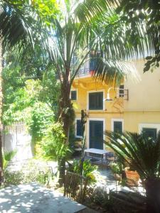 a courtyard with a palm tree and a building at Villino with Garden in Tropea