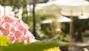 Zahrada ubytování Höhen Hotel Viersen