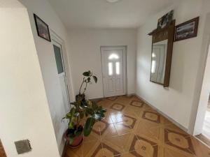Fotografie z fotogalerie ubytování Rock Hostel v destinaci Pristina