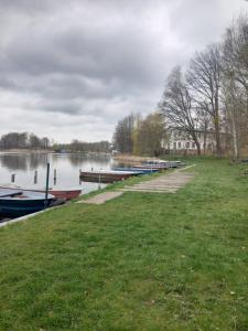 a group of boats docked at a dock on a lake at Urlaub im Bungalow in Löcknitz am See in Löcknitz