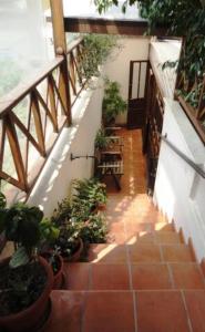 a staircase with potted plants on the side of a building at Dallia Loft Space in Goumenissa