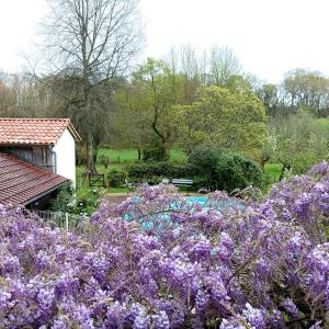 un jardín con flores púrpuras frente a un edificio en Villa Lortin en Pouillon