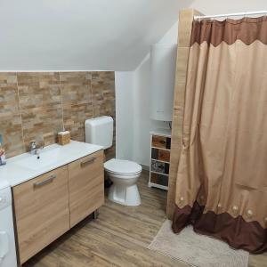 a bathroom with a toilet and a shower curtain at Petra Vendégház in Szekszárd