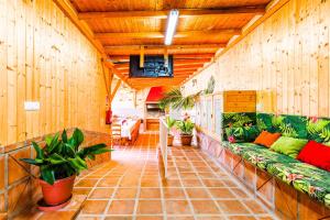 Una sala de estar con un sofá y algunas plantas. en CASA RURAL VILLAMAYNO, en Alcaucín