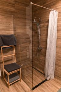 a glass shower with a chair and a shower curtain at Cabana Ruth in Valea Ierii