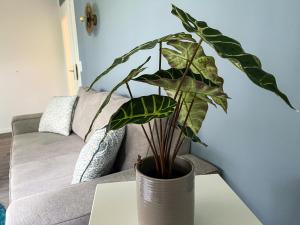 Posezení v ubytování Ferienwohnung Hitzacker/Elbe