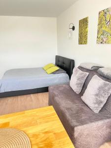 ein Wohnzimmer mit 2 Betten und einem Sofa in der Unterkunft Cozy apartment with lake view in Trakai