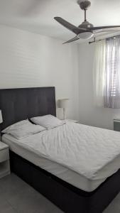 1 cama en un dormitorio con ventilador de techo en Les Salins à Sète proche plages, en Sète