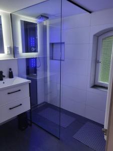 a bathroom with a glass shower and a sink at Naturoase in Inzigkofen