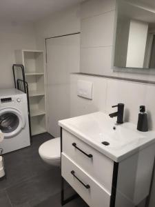 a bathroom with a sink and a washing machine at Naturoase in Inzigkofen